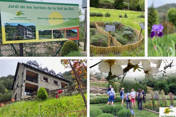 lapeguera-jardi-herbes